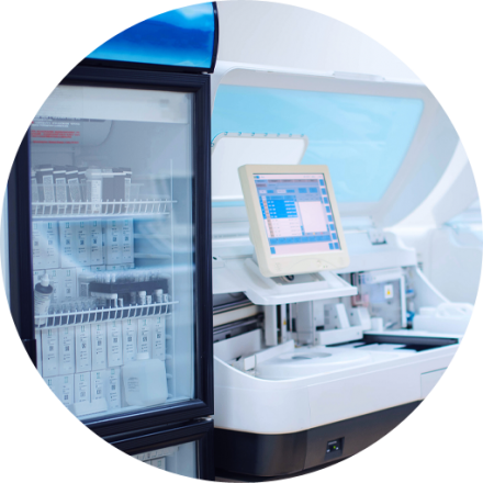 Allergology and clinical immunology